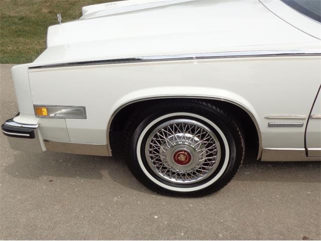 1982 Cadillac Eldorado Biarritz (CC-892457) for sale in Farmington Hills, Michigan