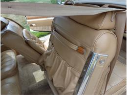 1982 Cadillac Eldorado Biarritz (CC-892457) for sale in Farmington Hills, Michigan