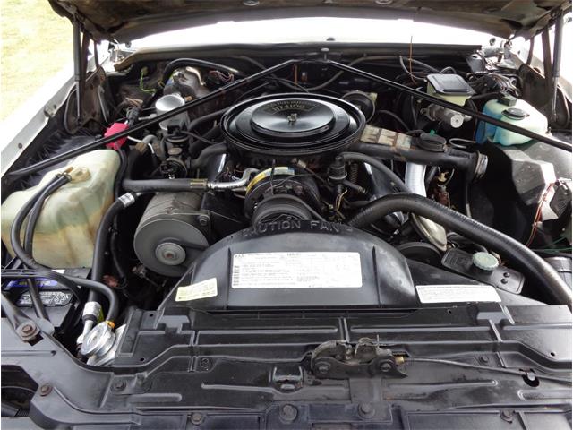 1982 Cadillac Eldorado Biarritz (CC-892457) for sale in Farmington Hills, Michigan