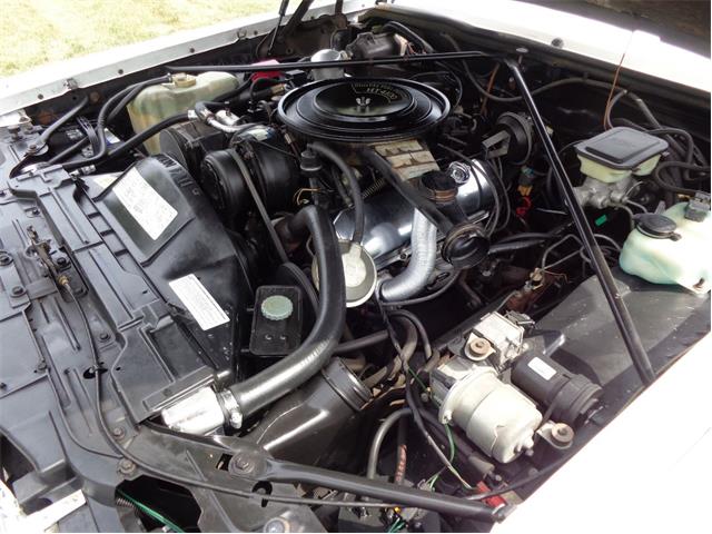 1982 Cadillac Eldorado Biarritz (CC-892457) for sale in Farmington Hills, Michigan