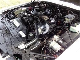 1982 Cadillac Eldorado Biarritz (CC-892457) for sale in Farmington Hills, Michigan