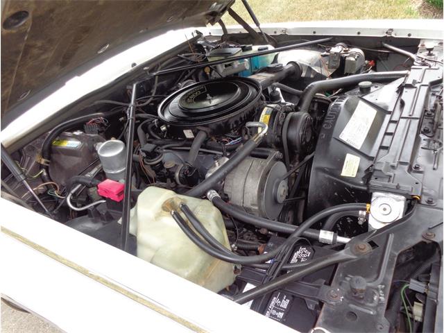 1982 Cadillac Eldorado Biarritz (CC-892457) for sale in Farmington Hills, Michigan