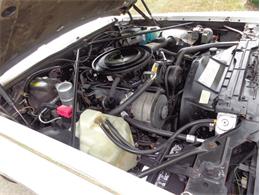 1982 Cadillac Eldorado Biarritz (CC-892457) for sale in Farmington Hills, Michigan