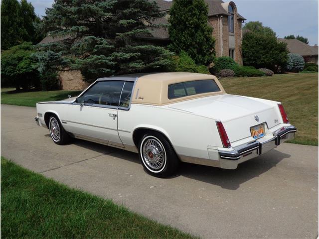1982 Cadillac Eldorado Biarritz (CC-892457) for sale in Farmington Hills, Michigan
