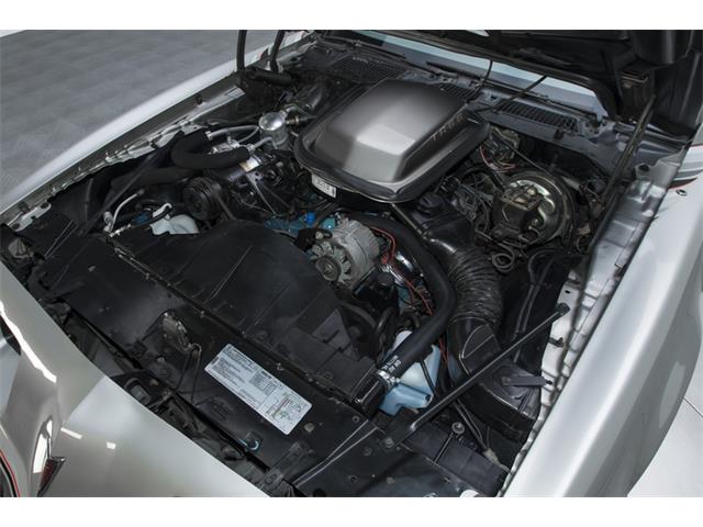 1979 Pontiac Firebird Trans Am 10th Anniversary Edition (CC-892733) for sale in Charlotte, North Carolina