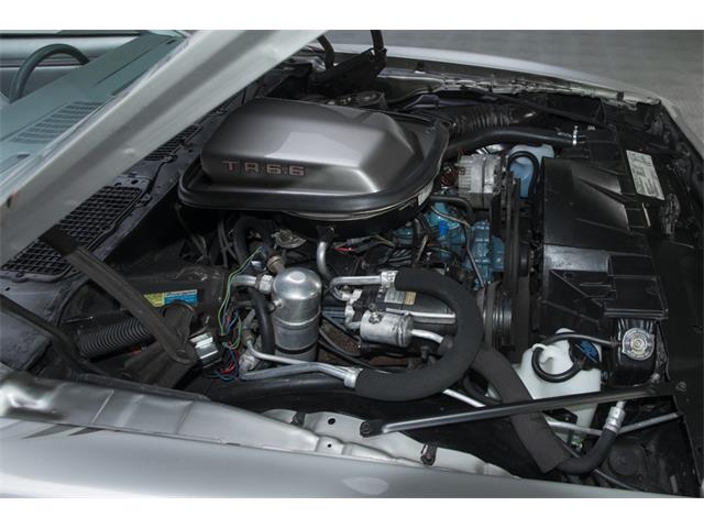 1979 Pontiac Firebird Trans Am 10th Anniversary Edition (CC-892733) for sale in Charlotte, North Carolina