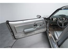1979 Pontiac Firebird Trans Am 10th Anniversary Edition (CC-892733) for sale in Charlotte, North Carolina