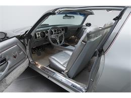 1979 Pontiac Firebird Trans Am 10th Anniversary Edition (CC-892733) for sale in Charlotte, North Carolina