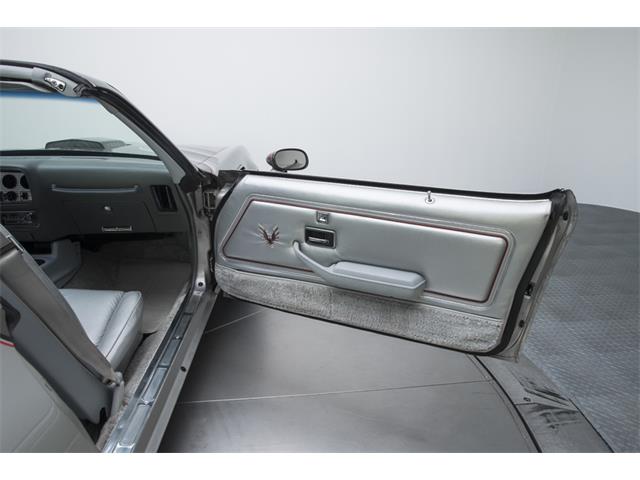 1979 Pontiac Firebird Trans Am 10th Anniversary Edition (CC-892733) for sale in Charlotte, North Carolina