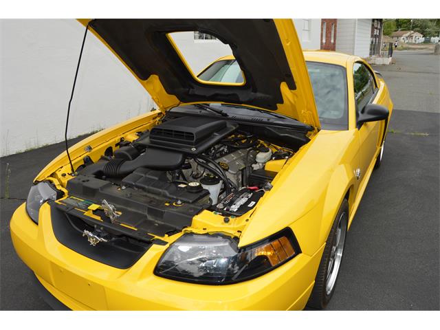 2004 Ford Mustang Mach 1 (CC-890315) for sale in Springfield, Massachusetts