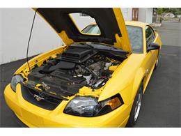 2004 Ford Mustang Mach 1 (CC-890315) for sale in Springfield, Massachusetts