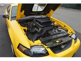 2004 Ford Mustang Mach 1 (CC-890315) for sale in Springfield, Massachusetts