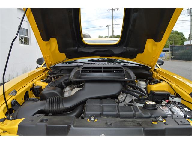 2004 Ford Mustang Mach 1 (CC-890315) for sale in Springfield, Massachusetts