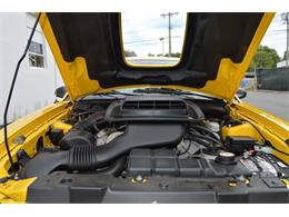 2004 Ford Mustang Mach 1 (CC-890315) for sale in Springfield, Massachusetts