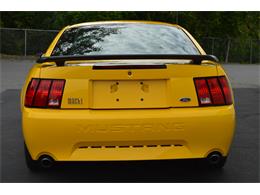2004 Ford Mustang Mach 1 (CC-890315) for sale in Springfield, Massachusetts