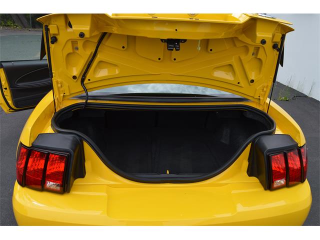 2004 Ford Mustang Mach 1 (CC-890315) for sale in Springfield, Massachusetts