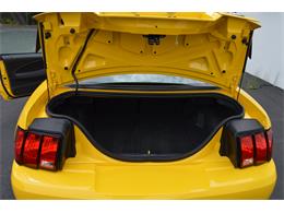 2004 Ford Mustang Mach 1 (CC-890315) for sale in Springfield, Massachusetts