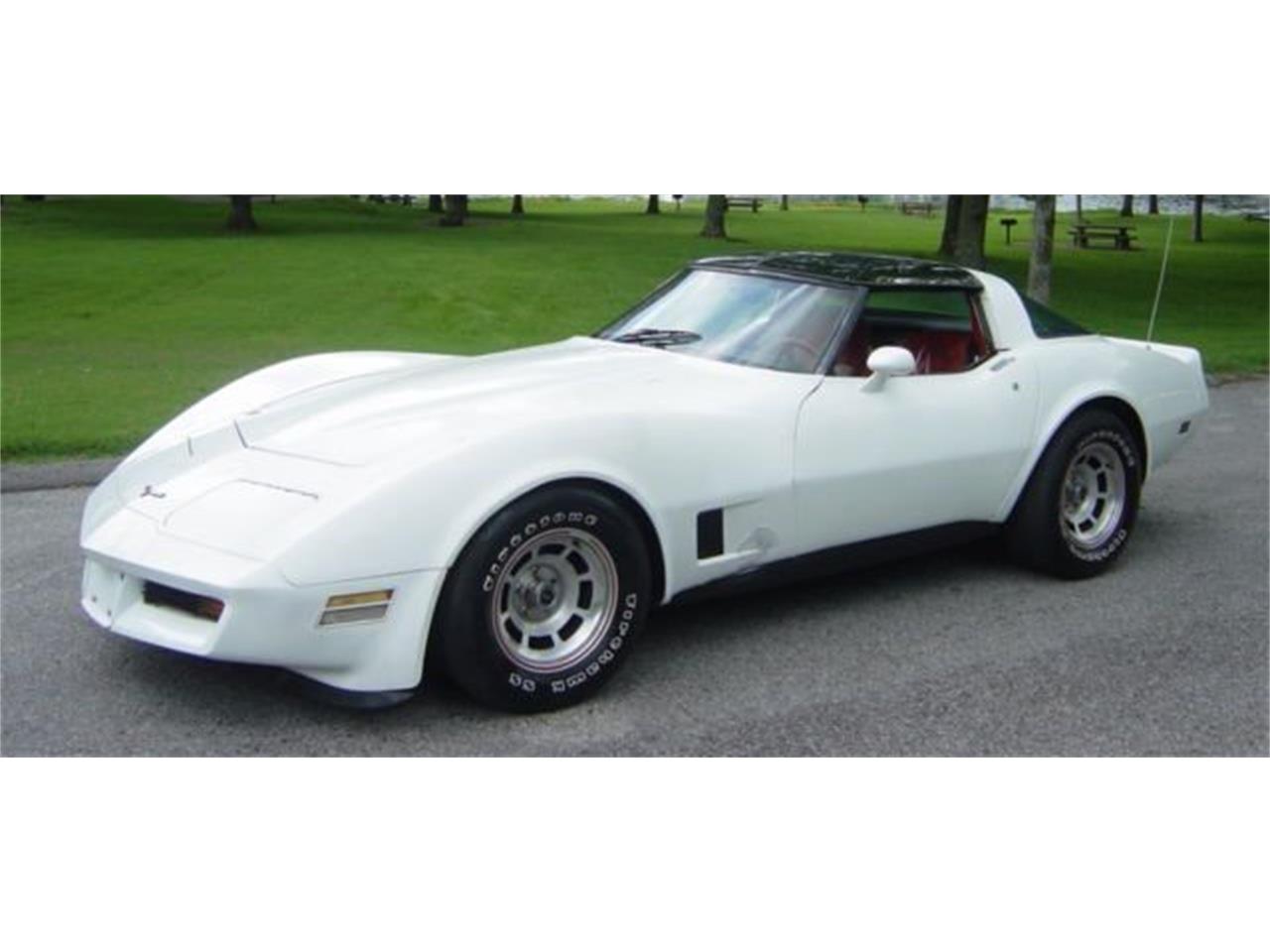 1981 Chevrolet Corvette for Sale | ClassicCars.com | CC-893324