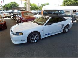 2004 Ford Mustang Saleen S281 Speedster (CC-894456) for sale in Austin, Texas