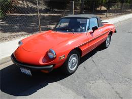 1978 Alfa Romeo Spider (CC-894562) for sale in Woodland Hills, California