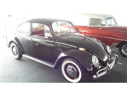 1966 Volkswagen Beetle (CC-894794) for sale in Auburn, Indiana