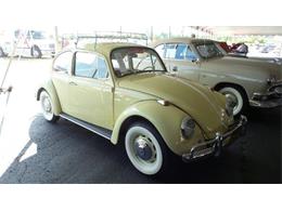 1967 Volkswagen Beetle (CC-894804) for sale in Auburn, Indiana