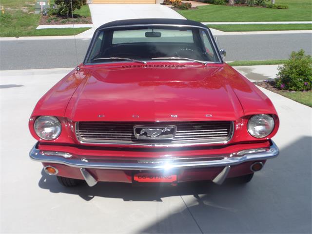 1966 Ford Mustang (CC-894843) for sale in Mount Dora, Florida