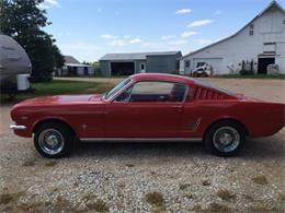 1965 Ford Mustang (CC-890512) for sale in No city, No state