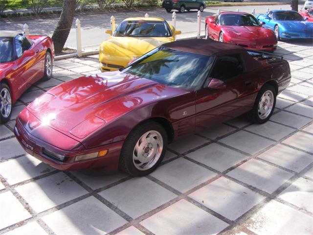1993 Chevrolet Corvette (CC-895219) for sale in Largo, Florida