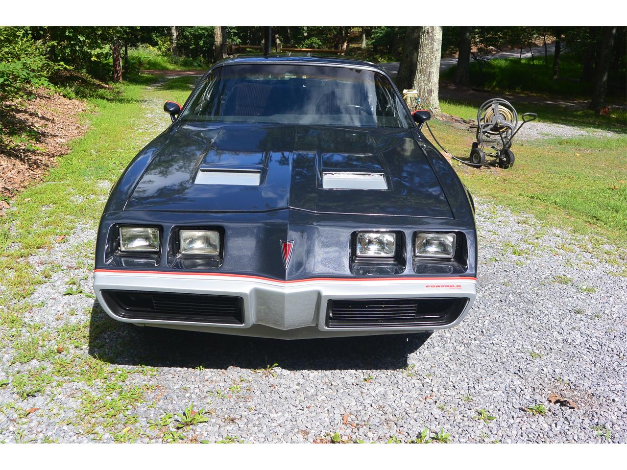 1981 Pontiac Firebird Formula for Sale | ClassicCars.com | CC-895275