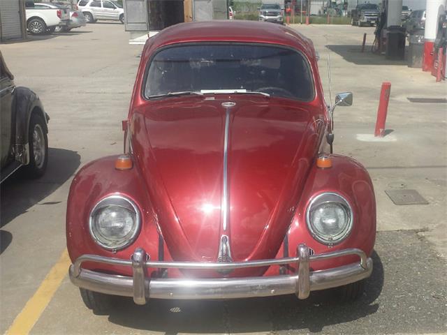 1964 Volkswagen Beetle (CC-896131) for sale in Biloxi, Mississippi