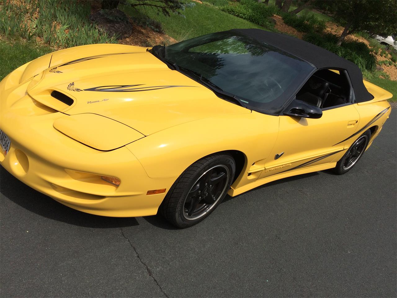 2002 Pontiac Firebird Trans Am for Sale | ClassicCars.com | CC-896873