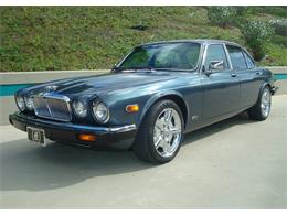 1983 Jaguar XJ6 (CC-897211) for sale in Detroit, Michigan