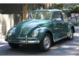 1966 Volkswagen Beetle (CC-897425) for sale in Boston, Massachusetts