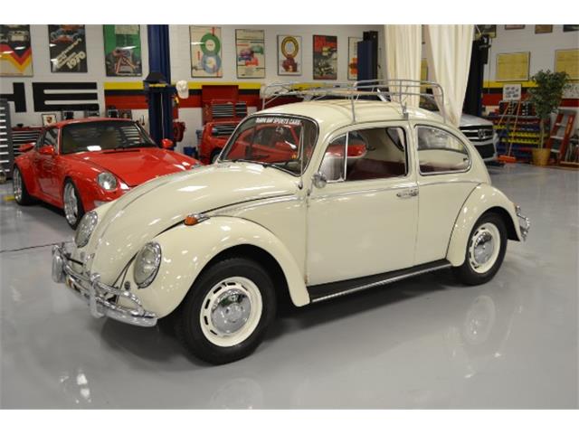 1966 Volkswagen Beetle (CC-890743) for sale in Pinellas Park, Florida