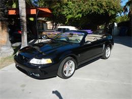 1999 Ford Mustang Cobra (CC-897471) for sale in Woodland Hills, California