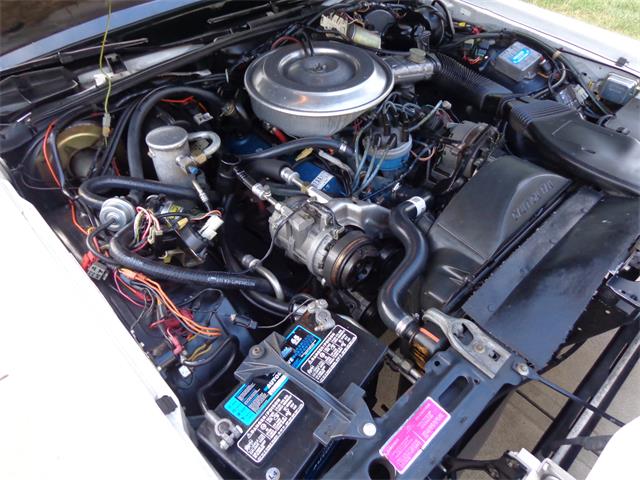 1981 Lincoln Continental Mark VI (CC-897993) for sale in North Royalton, Ohio
