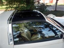 1985 Johnson Motor Company Phantom (CC-898051) for sale in Largo, Florida