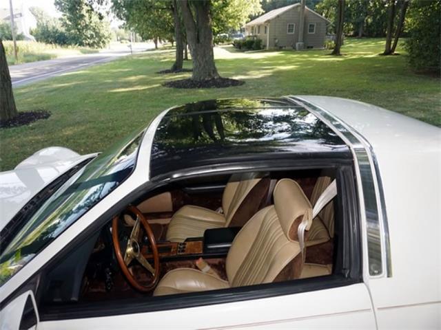 1985 Johnson Motor Company Phantom (CC-898051) for sale in Largo, Florida