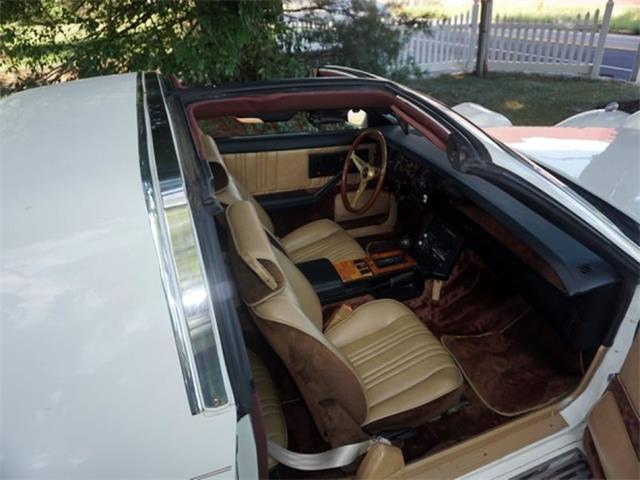 1985 Johnson Motor Company Phantom (CC-898051) for sale in Largo, Florida