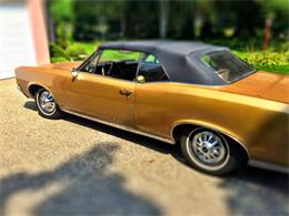 1967 Pontiac LeMans (CC-898561) for sale in Madison, Wisconsin