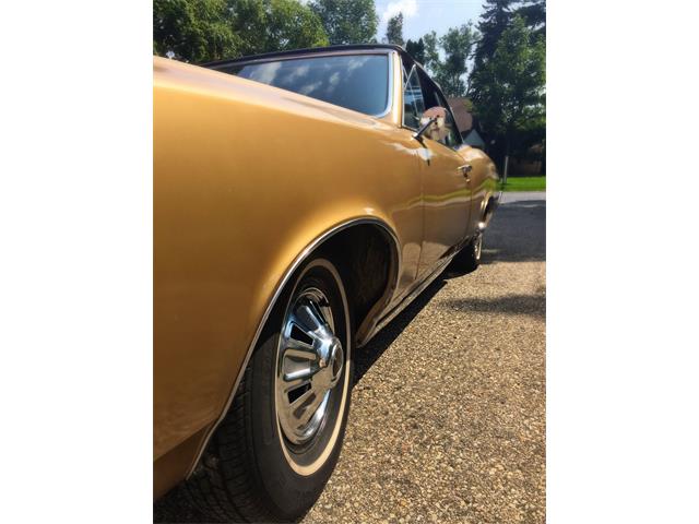 1967 Pontiac LeMans (CC-898561) for sale in Madison, Wisconsin