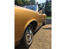 1967 Pontiac LeMans (CC-898561) for sale in Madison, Wisconsin