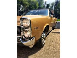 1967 Pontiac LeMans (CC-898561) for sale in Madison, Wisconsin