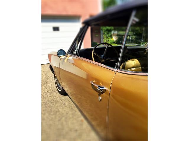 1967 Pontiac LeMans (CC-898561) for sale in Madison, Wisconsin