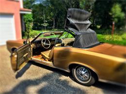 1967 Pontiac LeMans (CC-898561) for sale in Madison, Wisconsin