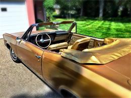1967 Pontiac LeMans (CC-898561) for sale in Madison, Wisconsin