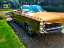 1967 Pontiac LeMans (CC-898561) for sale in Madison, Wisconsin