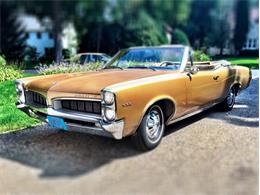 1967 Pontiac LeMans (CC-898561) for sale in Madison, Wisconsin