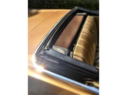 1967 Pontiac LeMans (CC-898561) for sale in Madison, Wisconsin